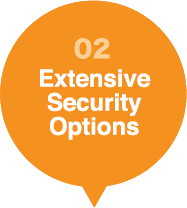 Extensive Security Options