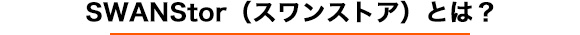 SWANStorって何ができるの